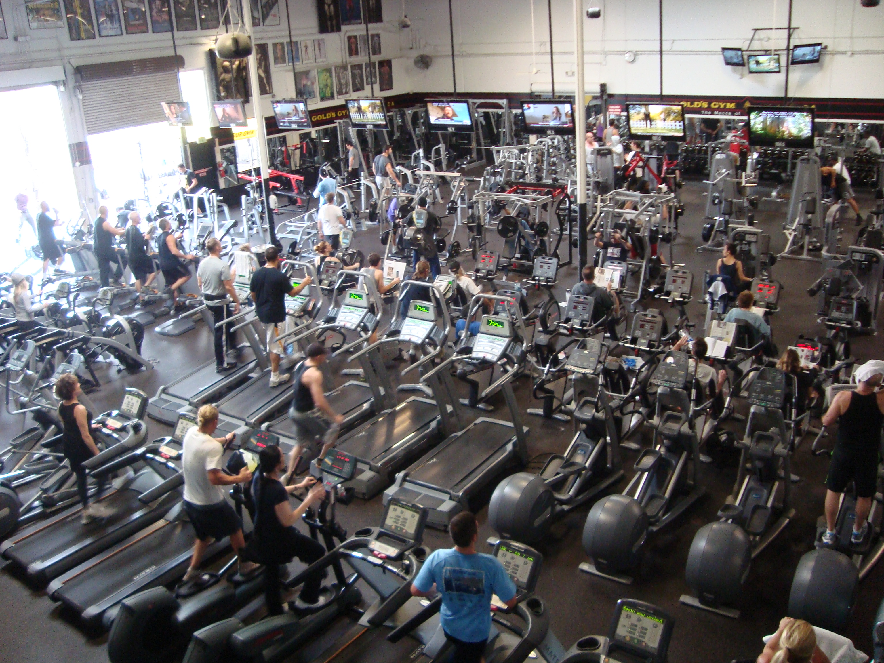 Gold’s Gym - Venice, CA: The Mecca of Bodybuilding.